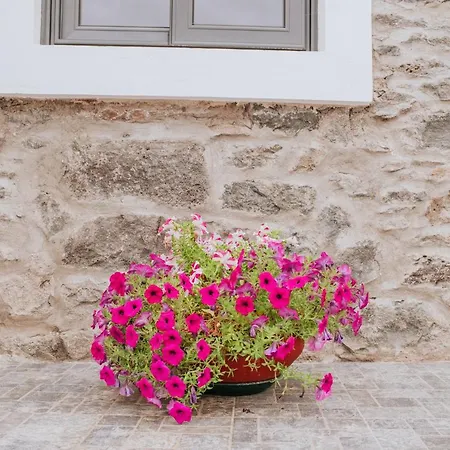 Casa Da Morena By Amazing Madeira Дом отдыха