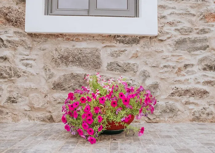 Casa Da Morena By Amazing Madeira Tatil Evi